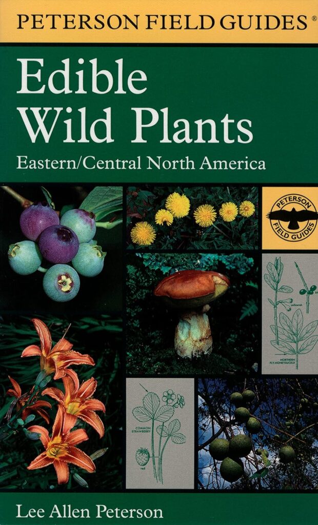 edible wild plants
