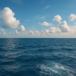 How to Survive Being Lost at Sea