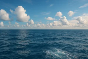 Read more about the article How to Survive Being Lost at Sea